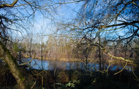 Wetland View | Apartments | Bellingham | Sunset Pond