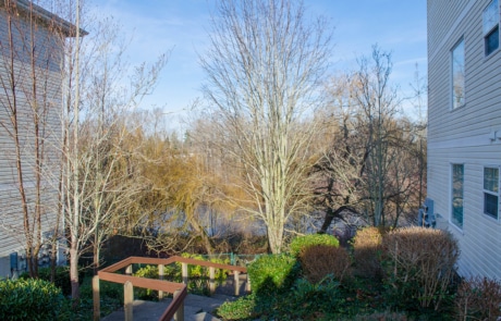 Wetland View | Apartments | Bellingham | Sunset Pond